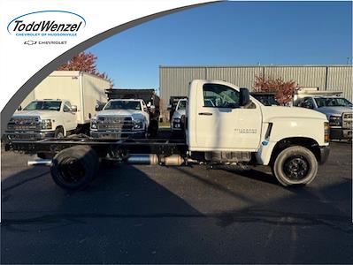 2024 Chevrolet Silverado 5500 Regular Cab DRW 4x2, Cab Chassis for sale #DH241778 - photo 1