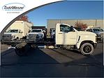 2024 Chevrolet Silverado 5500 Regular Cab DRW 4x2, Cab Chassis for sale #DH241778 - photo 1