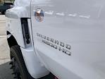 New 2024 Chevrolet Silverado 6500 Work Truck Regular Cab 4WD, Cab Chassis for sale #B22806 - photo 10