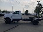 2024 Chevrolet Silverado 6500 Regular Cab DRW 4WD, Cab Chassis for sale #B23111 - photo 5