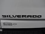 2020 Chevrolet Silverado 2500 Crew Cab SRW 4WD, Pickup for sale #21283234T - photo 62