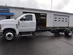 New 2024 Chevrolet Silverado 6500 LT Regular Cab RWD, Cab Chassis for sale #RH127282 - photo 5