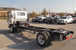 New 2024 Chevrolet LCF 5500HG Regular Cab RWD, Cab Chassis for sale #RS500315 - photo 2