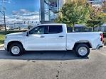 2024 Chevrolet Silverado 1500 Crew Cab 2WD, Pickup for sale #163513L - photo 48