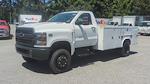 2023 Chevrolet Silverado 5500 Regular Cab DRW 4WD, Service Truck for sale #M1131695 - photo 34