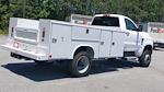 New 2024 Chevrolet Silverado 4500 Work Truck Regular Cab 4WD, Service Truck for sale #M1140753 - photo 8