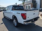 New 2024 Ford F-150 XLT SuperCrew Cab 4WD, Pickup for sale #00T00546 - photo 6