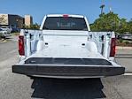 New 2024 Ford F-150 XLT SuperCrew Cab 4WD, Roush F-150 Pickup for sale #00T46996 - photo 12