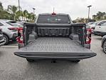 New 2024 Ford Ranger XLT SuperCrew Cab RWD, Pickup for sale #00T51910 - photo 12