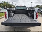 New 2024 Ford F-150 XL Regular Cab RWD, Pickup for sale #00T60159 - photo 13