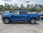 New 2024 Ford F-150 XLT SuperCrew Cab RWD, Pickup for sale #00T90317 - photo 7