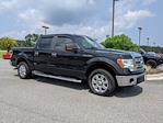 Used 2014 Ford F-150 SuperCrew Cab 4x2, Pickup for sale #0B80722A - photo 3