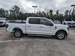 New 2024 Ford F-150 XLT SuperCrew Cab RWD, Pickup for sale #00T09012 - photo 3