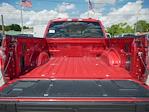 New 2024 Ford F-150 XLT SuperCrew Cab 4x4, Pickup for sale #T40298 - photo 6