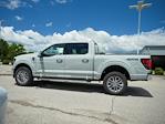 New 2024 Ford F-150 XLT SuperCrew Cab 4x4, Pickup for sale #T40330 - photo 5