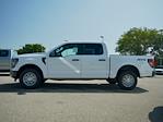 New 2024 Ford F-150 XL SuperCrew Cab 4x4, Pickup for sale #T40355 - photo 5