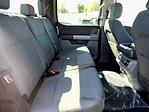 New 2024 Ford F-150 XLT SuperCrew Cab 4x4, Pickup for sale #T40451 - photo 10