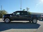 New 2024 Ford F-150 XLT SuperCrew Cab 4x4, Pickup for sale #T40525 - photo 5