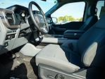 New 2024 Ford F-150 XLT SuperCrew Cab 4x4, Pickup for sale #T40539 - photo 13