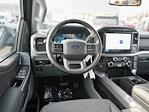 New 2024 Ford F-150 XLT SuperCrew Cab 4x4, Pickup for sale #T40560 - photo 16