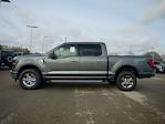 New 2024 Ford F-150 XLT SuperCrew Cab 4x4, Pickup for sale #T40560 - photo 5