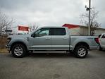 New 2024 Ford F-150 XLT SuperCrew Cab 4x4, Pickup for sale #T40561 - photo 4