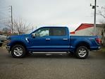 New 2024 Ford F-150 XLT SuperCrew Cab 4x4, Pickup for sale #T40585 - photo 4