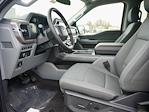 New 2024 Ford F-150 XLT SuperCrew Cab 4x4, Pickup for sale #T40586 - photo 13