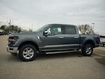 New 2024 Ford F-150 XLT SuperCrew Cab 4x4, Pickup for sale #T40586 - photo 5