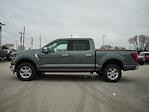 New 2024 Ford F-150 XLT SuperCrew Cab 4x4, Pickup for sale #T40596 - photo 4