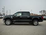 New 2024 Ford F-150 Lariat SuperCrew Cab 4x4, Pickup for sale #T40605 - photo 5