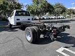 2024 Ford F-550 Regular Cab DRW RWD, Cab Chassis for sale #C240710 - photo 2