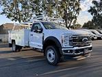 New 2024 Ford F-450 Regular Cab RWD, 11' Scelzi Signature Service Truck for sale #C240785 - photo 1