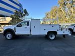 New 2024 Ford F-450 Regular Cab RWD, 12' Scelzi SEC Combo Body for sale #C240836 - photo 5