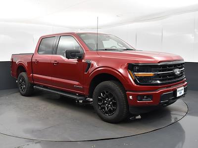 New 2024 Ford F-150 XLT SuperCrew Cab 4x4, Pickup for sale #RFA49825 - photo 1