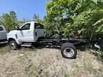 2024 Chevrolet Silverado 5500 Regular Cab DRW 4WD, Cab Chassis for sale #CF4T653860 - photo 19