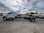 2024 Chevrolet Silverado 5500 Regular Cab DRW 2WD, Cab Chassis for sale #CF4T654639 - photo 16