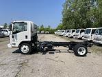 New 2024 Chevrolet LCF 5500HD Regular Cab RWD, Cab Chassis for sale #CF4T902490 - photo 18