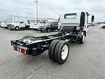 2024 Chevrolet LCF 4500HG Regular Cab RWD, Cab Chassis for sale #CX4T213887 - photo 5