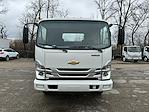 2024 Chevrolet LCF 5500XG Regular Cab RWD, Cab Chassis for sale #CX4TR02167 - photo 8
