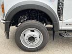 2024 Ford F-450 Regular Cab DRW RWD, Cab Chassis for sale #REC99171 - photo 5