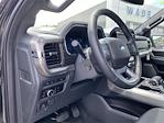 2024 Ford F-150 SuperCrew Cab 4WD, Pickup for sale #RFA53089 - photo 13