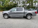 New 2024 Ford F-150 XLT SuperCrew Cab 4WD, Pickup for sale #RFB56948 - photo 3