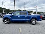 2024 Ford F-150 SuperCrew Cab RWD, Pickup for sale #RKD82833 - photo 3