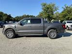 2024 Ford F-150 SuperCrew Cab RWD, Pickup for sale #RKD87956 - photo 3