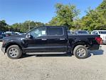 2024 Ford F-150 SuperCrew Cab RWD, Pickup for sale #RKE27277 - photo 3