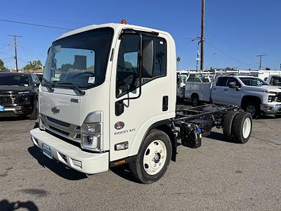 New 2024 Chevrolet LCF 5500XD Regular Cab 4x2, Cab Chassis for sale #R7309168 - photo 1