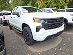 2024 Chevrolet Silverado 1500 Double Cab 4x4, Pickup for sale #2407770 - photo 4