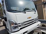 New 2024 Chevrolet LCF 4500HG Regular Cab 4x2, Cab Chassis for sale #2480040 - photo 3