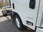 New 2024 Chevrolet LCF 4500HG Regular Cab 4x2, Cab Chassis for sale #2480040 - photo 4